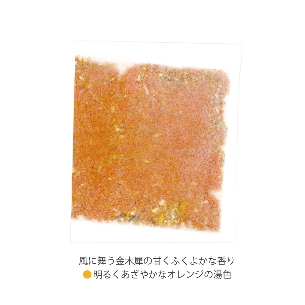 https://chiba.hands.net/item/4975541096439-2.jpg