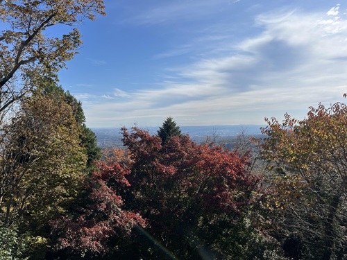 【千葉店】あると意外と嬉しい！？ちょい足し行楽アイテム